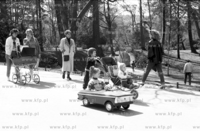 W parku Oliwskim. 17.04.1988 2kwiecien88zkosycarz_p14...