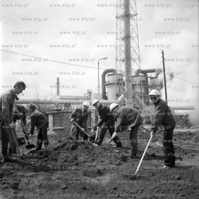 Pracownicy administracji Gdańskich Zakładów Nawozów...