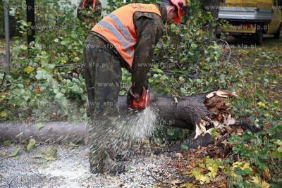 Sopot. Skutki wichury, ktora szalala w nocy w Sopocie....