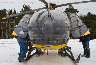Gdansk, Rebiechowo. W dniu dzisiejszym przylecial nowy...