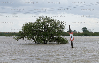 Drewnica okolice sluzy Glowa Gdanska Nz  Podnoszacy...