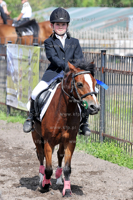 Stadnina koni MORINA w Redzie/Wejherowa. Towarzyskie...