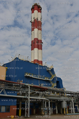 EDF Wybrzeze S.A. zaprosilo mieszkancow Gdyni, Rumi...