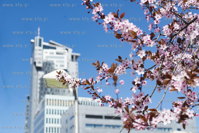 Gdynia Śródmieście. 19.04.2019 Fot. Anna Bobrowska...