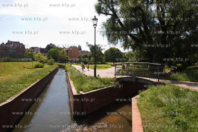 Gdansk Wrzeszcz, Park nad Strzyza.
03.07.2009
fot....