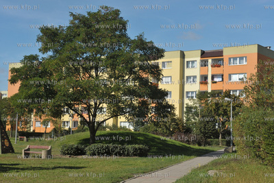 Gdańsk Zaspa. Okolice ul. Skarżyńskiego.  28.09.2011...