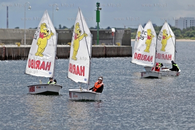 Sopot. Marina. Symboliczna wymiana desek snowboardowej...