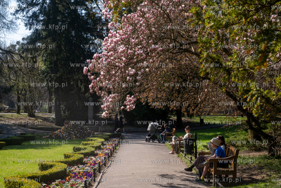 Wiosna w Parku Oliwskim. 15.04.2025 / fot. Anna Rezulak...