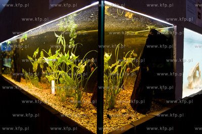 Sopot. Budynek dawnego klubu nocnego Enzym. Nowo otwarte...