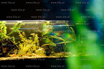 Sopot. Budynek dawnego klubu nocnego Enzym. Nowo otwarte...