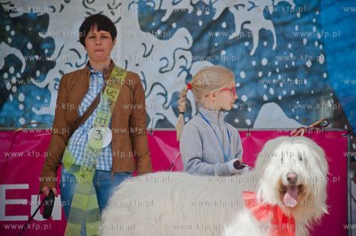 Sopocki Rynek Artystyczny i Ludowy Sopotello. Psia...