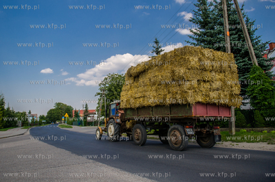 Traktor ciagnacy przyczepe z sianem na drodze wojewodzkien...