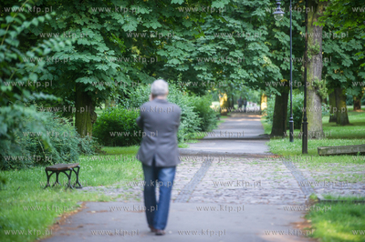 Gdańsk. Park Akademicki. 17.07.2017 fot. Mateusz Ochocki...