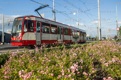 Gdańsk. Morena. Linia tramwajowa Piecki - Migowo....