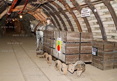 Kopalnia Guido zalozona zostala w 1855 roku przez hrabiego...