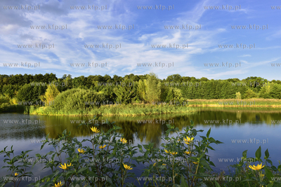 Gdansk. Park Reagana 29.08.2015 fot. Jan Harb Sieminski...