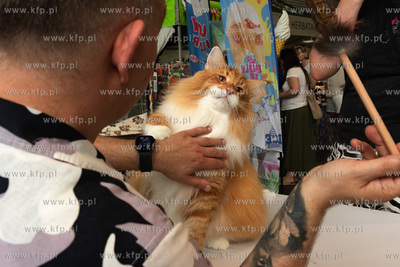 Międzynarodowa wystawa kotów rasowych "Koty na Hawajach"...