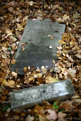 Gdansk - Wrzeszcz. Zapomniany cmentarz urnowy z poczatku...