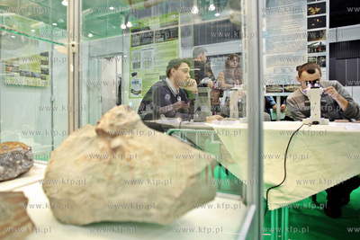 MTG Amber Expo. Targi Inowacji.
24.10.2013
fot. Krzysztof...