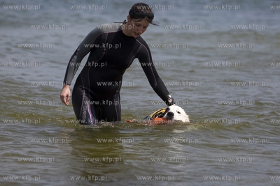 Gdańsk Brzeźno. Puchar Polski Psów Ratowniczych.
14.06.2015
fot....