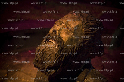 Nowy Port, Festiwal artystycznych instalacji wizualnych...