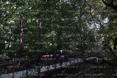 Sopot. Kładka na Westerplatte udostępniona pieszym.
26.08.2016
fot....