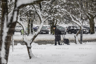 Sopot Brodwino. Zima. 11.01.2025 fot. Krzysztof Mystkowski...