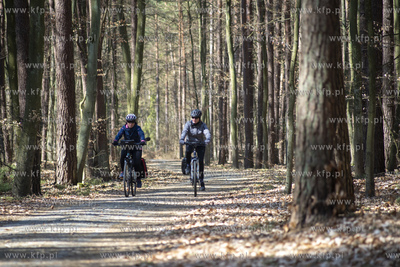 Trasa rowerowa R10 i R13 między Mikoszewem a Jantarem....