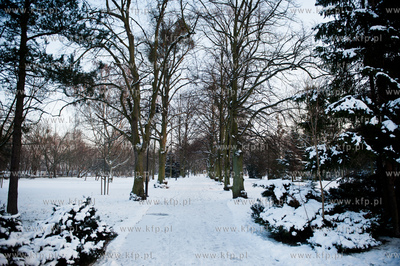 Gdansk. Zimowe mrozne popoludnie w Parku Jelitkowskim....