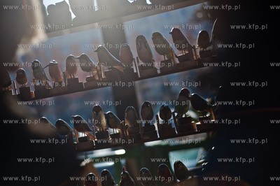 Koscierzyna. Zespol Szkol Publicznych nr 1. Obchody...