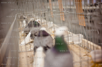 Gdansk. Gdansk. Amber Expo. 8. Miedzynarodowe Targi...