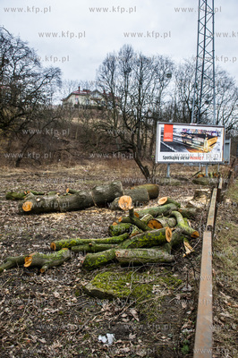 Gdańsk. Wycięte drzewa na jednej z działek przy...