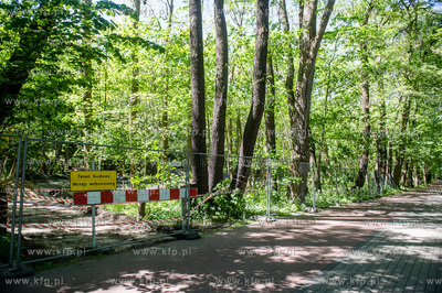 Sopot. Budowa parkingu dla samochodów osobowych przy...