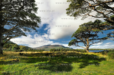 Irlandia poludniowa, Muckross House,hrabstwo Kerry.
18.09.2009
Fot....
