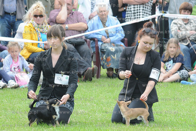 W Zespole Dworsko - Parkowym  w Gdyni Kolibkach odbyla...