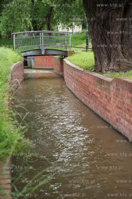 Gdansk Wrzeszcz, Park nad Strzyza.
02.07.2009
fot....