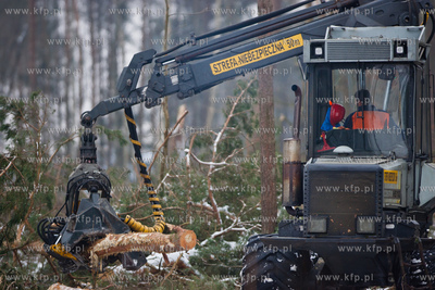 Gdansk. Rebiechowo. Wycinka drzew pod budowe Pomorskiej...