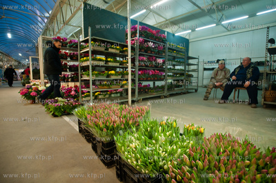 Gdansk. Giełda kwiatowa Dick Inter.
08.03.2013
fot....