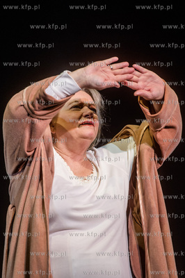 Gdansk. Teatr Szekspirowski. Proba medialna spektaklu...