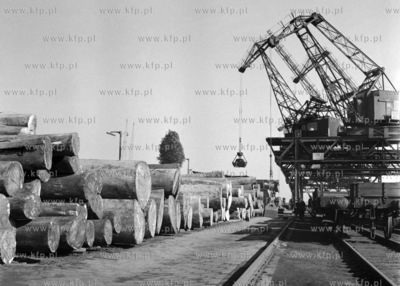 Załadunek bali drewna w porcie gdyńskim.  (Lata 60).
1966
0000177z
Fot....