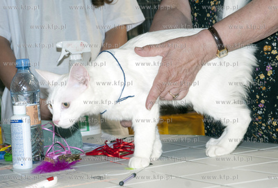 Miedzynarodowa Wystawa Kotor Rasowych w Sopocie.
04.08.2013...