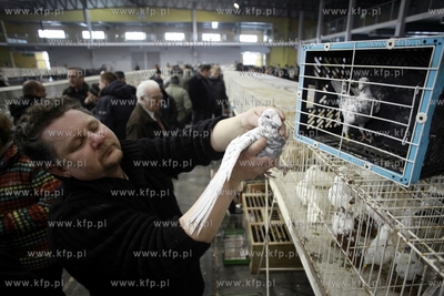Gdansk. Międzynarodowe Targi Gdańskie. Bałtycka...