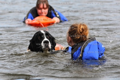Gdańsk. Festyn z Pompą na Żabim Kruku, podczas którego...