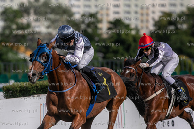 Sopocki Hipodrom. Wyścigi konne. Gonitwa o
Puchar...
