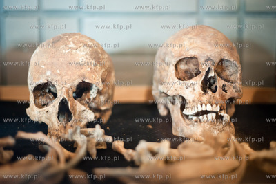 Uniwersytet Gdanski. Wydzial Prawa i Administracji....