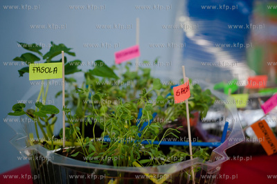 Gdynia.  Pomorski Park Naukowo-Technologiczny. Final...