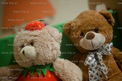 Gdansk. Zlobek nr 25. Swiatowy Dzien Pluszowego Misia.
25.11.2013
fot....