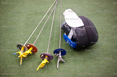 Gdansk. Hala AWFiS. Dwor Artusa - Grand Prix Pucharu...