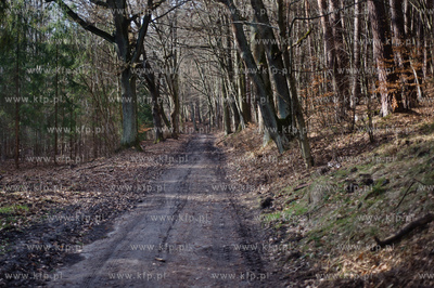 Gdansk. Oliwa, Trojmiejski Park Krajobrazowy. Sciezka...