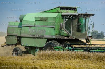 Powiat Koscierski. Kombajn podczas zniw. 
04.08.2015
fot....